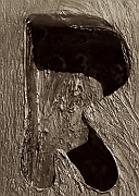 Wall_Art_Alphabet_Photography_Art_ 1898